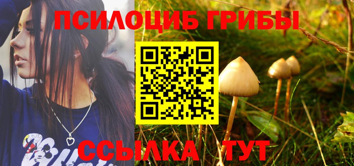 Псилоцибиновые грибы Magic Shrooms Балаково